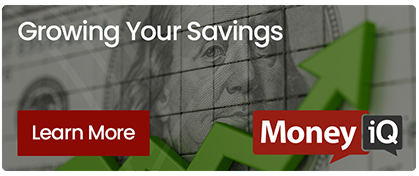 MoneyiQ - Growing Your Savings Videos