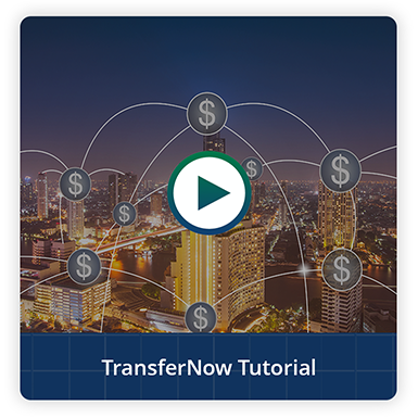TransferNow® Video