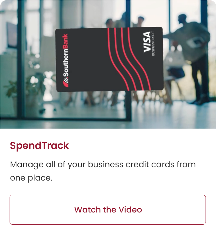 SpendTrack Video