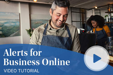 Alerts for Business Online Video
